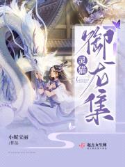 余念无眠封面
