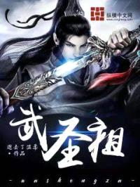 武圣祖封面