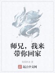 师兄，我来带你回家封面