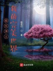 完美圣君封面