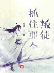 抓住那个叛徒封面
