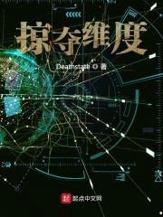 掠夺维度封面