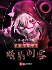 全职法师之暗影刺客封面