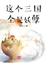 这个三国全是妖孽封面