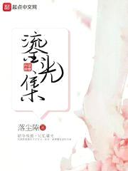 鎏光集封面