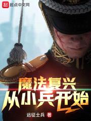 魔法复兴从小兵开始封面