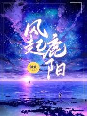 风起鹿阳封面
