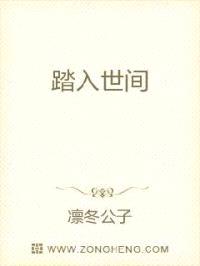 踏入世间封面