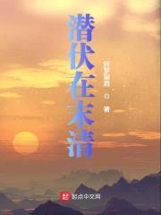 潜伏在大清封面