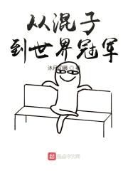 从混子到世界冠军封面