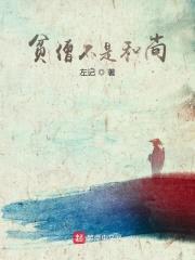 贫僧不是和尚封面