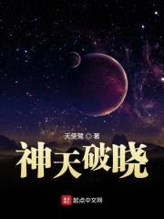 神天破晓封面