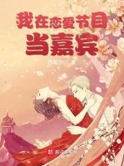 我的流量时代封面