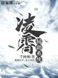 凌霄辅助系统封面