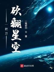 一把刀砍翻星空封面