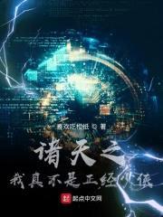 诸天之我真不是正经少侠封面