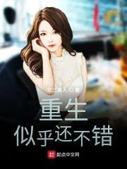 重生似乎还不错封面