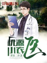 桃源小农医封面