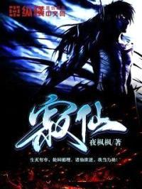 寂仙封面