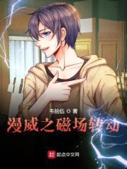 漫威之磁场转动封面