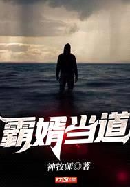 霸婿当道封面