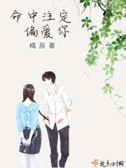 命中注定偏爱你封面