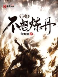 老子不想炼丹封面