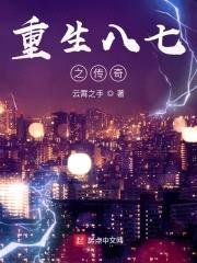 重生八七之传奇封面