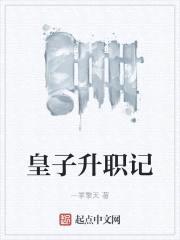 皇子升职记封面