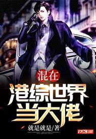 混在港综世界当大佬封面