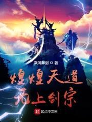 煌煌天道无上剑宗封面