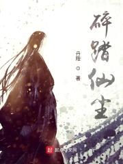 碎踏仙尘封面