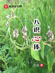 八识心体封面