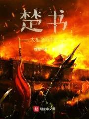 楚书，太祖皇帝本纪封面