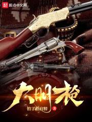 大明枪封面
