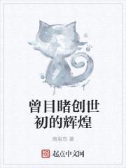 曾目睹创世初的辉煌封面