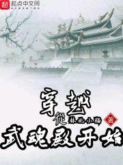 穿越从武魂殿开始封面