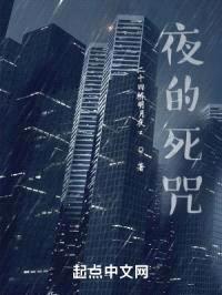 夜的死咒封面