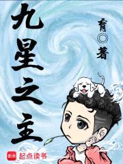 九星之主封面