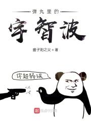 弹丸里的宇智波封面