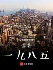 我的一九八五封面