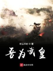 吾为武皇封面