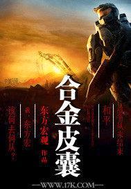 合金皮囊封面