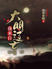 我来自辽东关宁封面