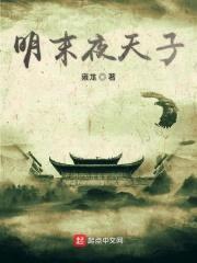 明末夜天子封面