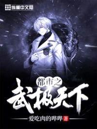 都市之武极天下封面