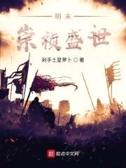 明末崇祯盛世封面