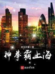 神拳霸上海封面