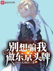 我在日本开大车封面
