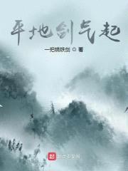 平地剑气起封面